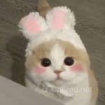 Avatar Esteban Cabrera